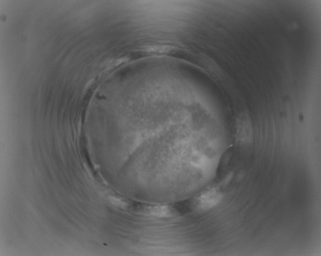 X0000052570377200507011227