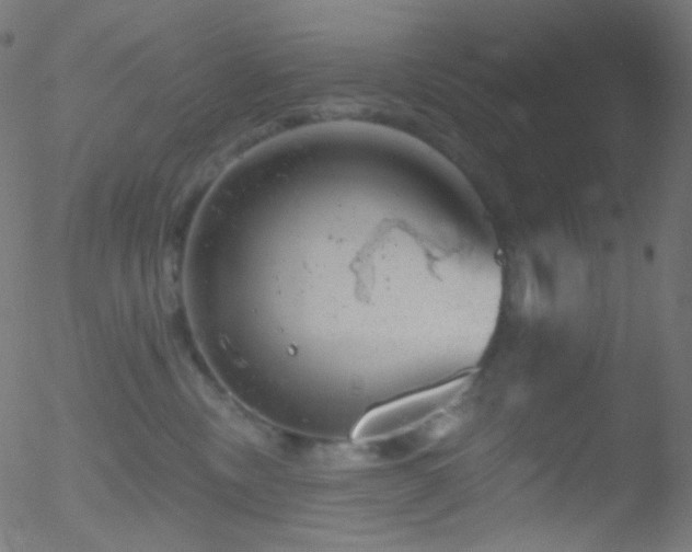 X0000052570378200507011227