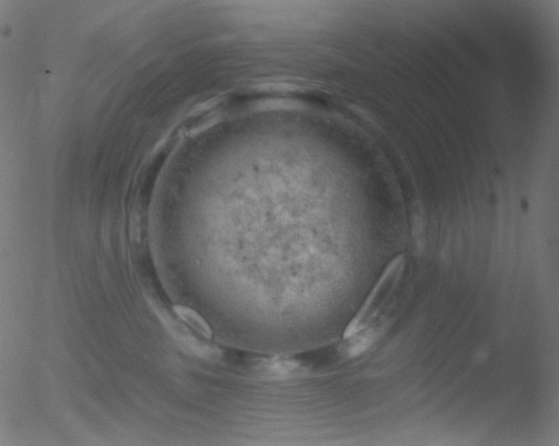 X0000052570379200507011227