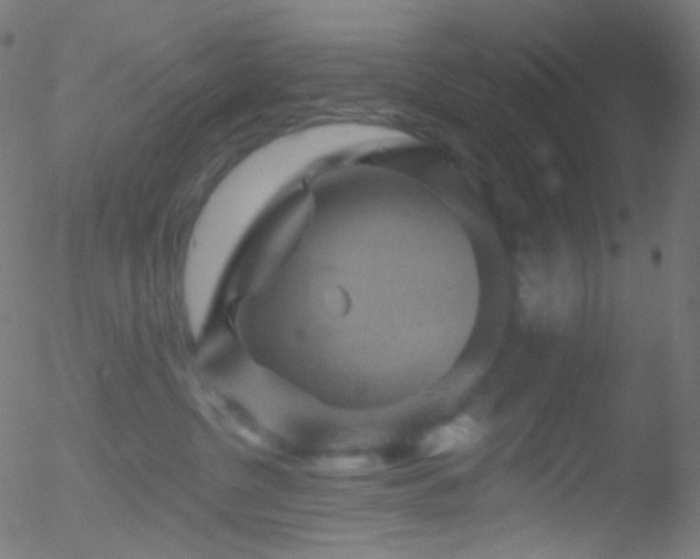 X0000052570380200507011227