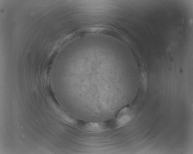 X0000052570381200507011227