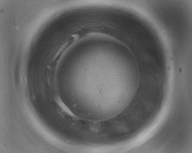 X0000052570382200507011227