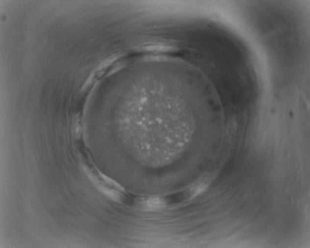 X0000052570383200507011227