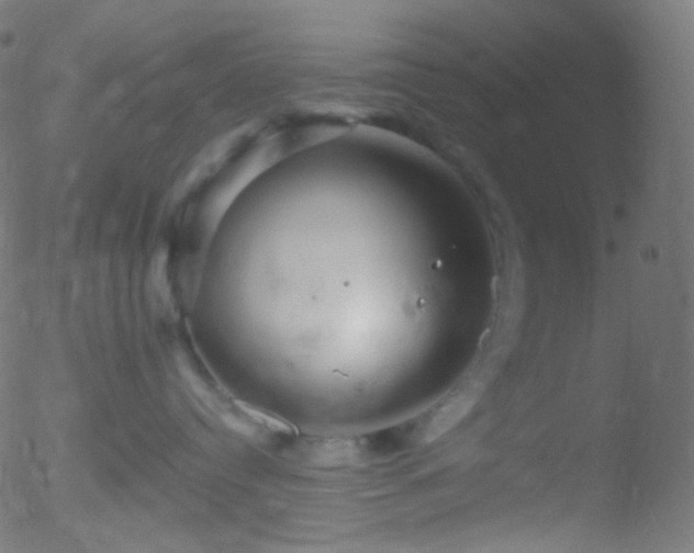 X0000052570384200507011227