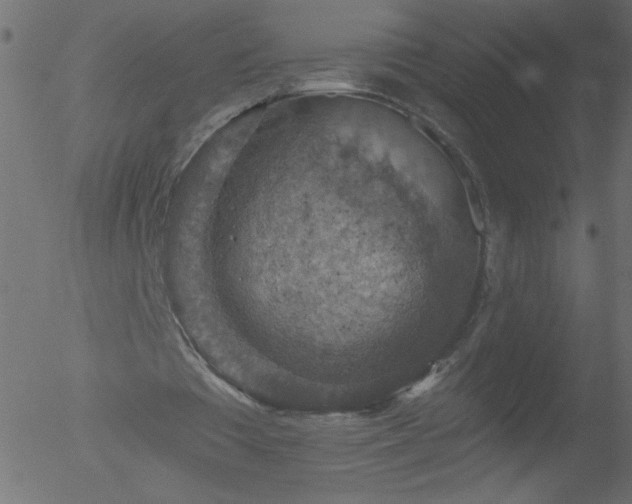 X0000052570385200507011226