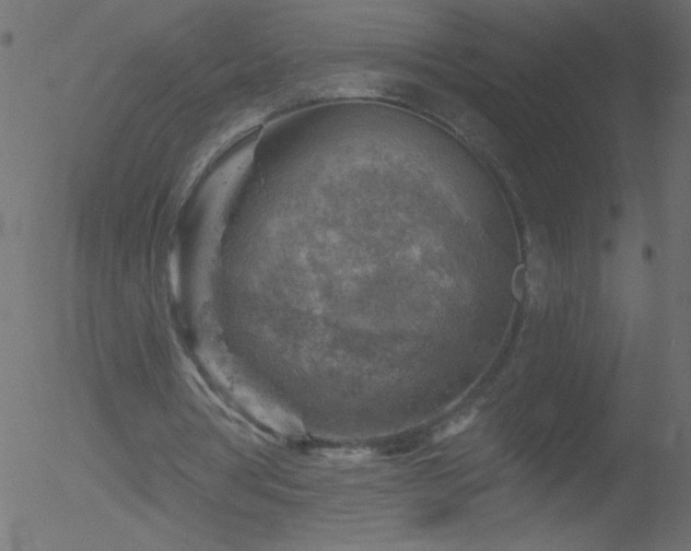 X0000052570386200507011226