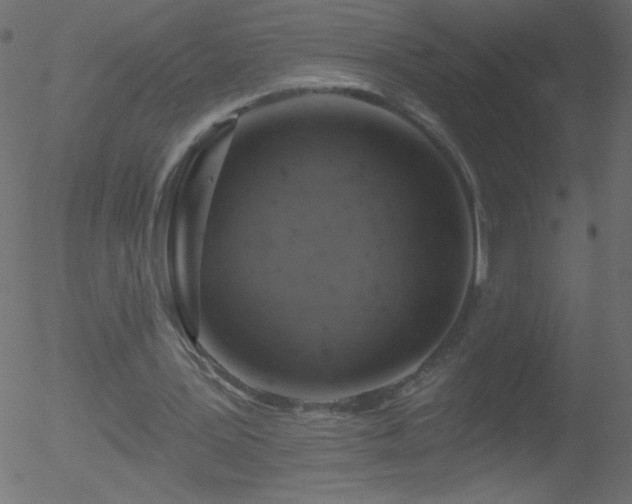 X0000052570387200507011226