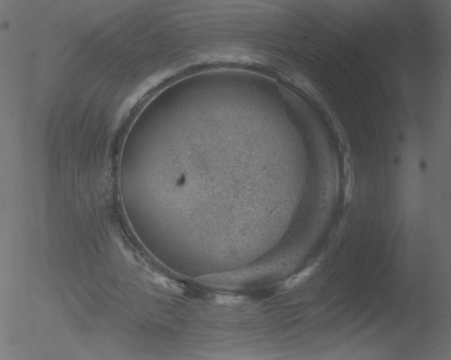 X0000052570388200507011226