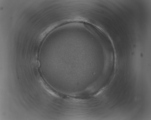 X0000052570389200507011226