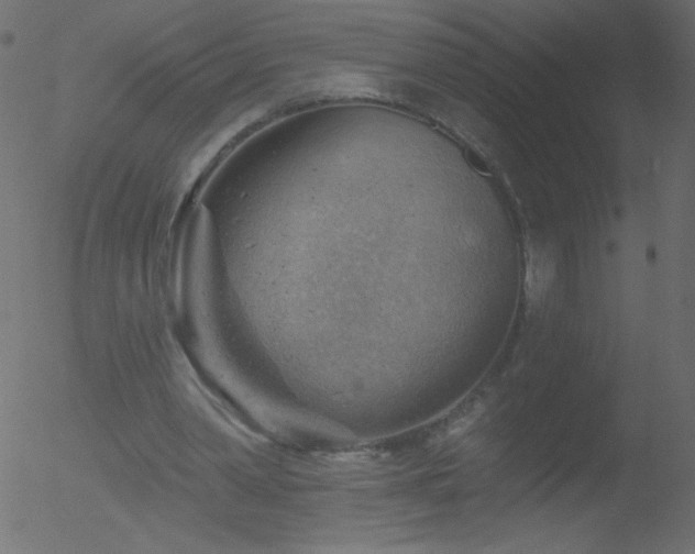 X0000052570390200507011226