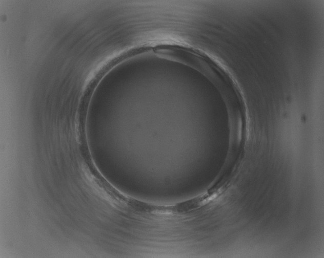 X0000052570391200507011226