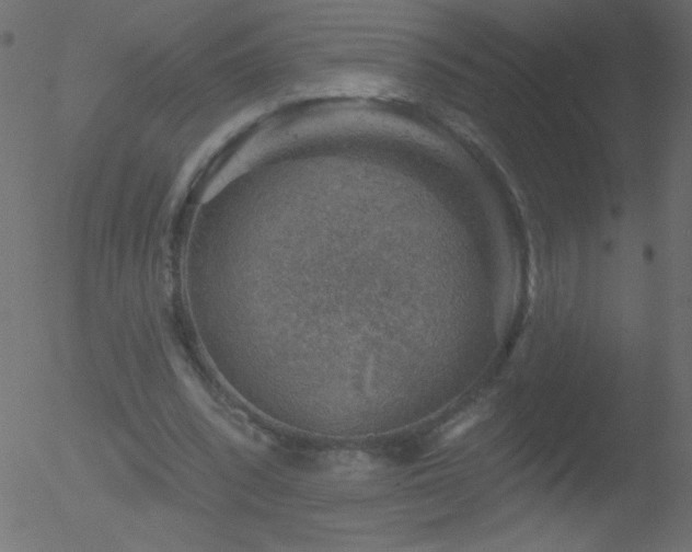 X0000052570392200507011226