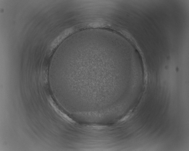 X0000052570393200507011226