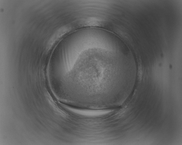 X0000052570394200507011226