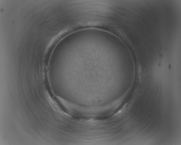 X0000052570395200507011226