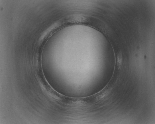 X0000052570396200507011226