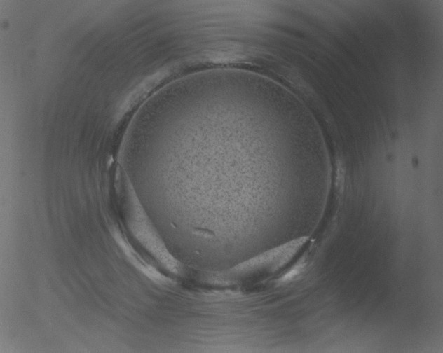 X0000052570397200507011226