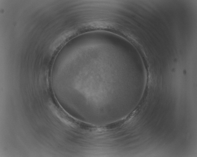 X0000052570398200507011226