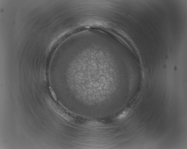 X0000052570399200507011226