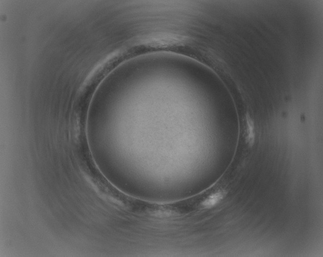 X0000052570400200507011226