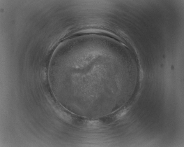 X0000052570401200507011226