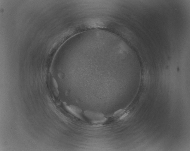 X0000052570402200507011226