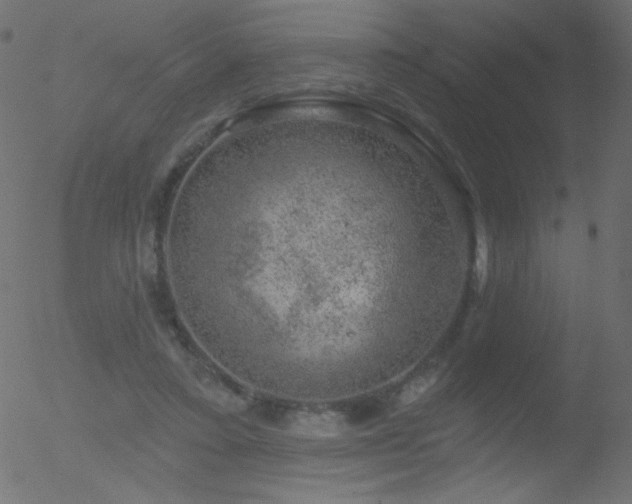 X0000052570403200507011226