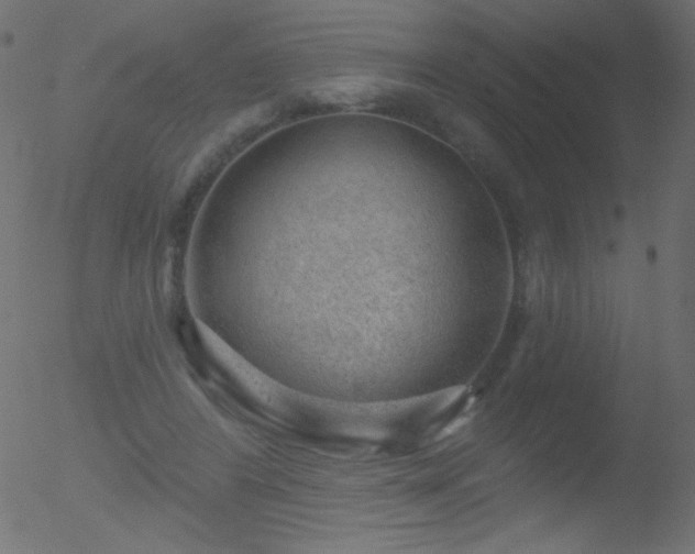 X0000052570404200507011226