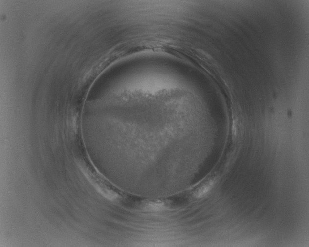 X0000052570405200507011226