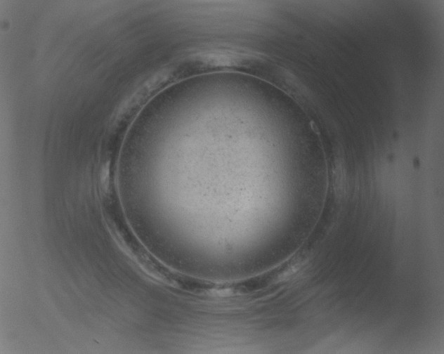 X0000052570406200507011226