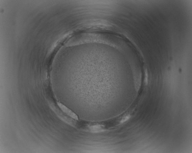 X0000052570407200507011226