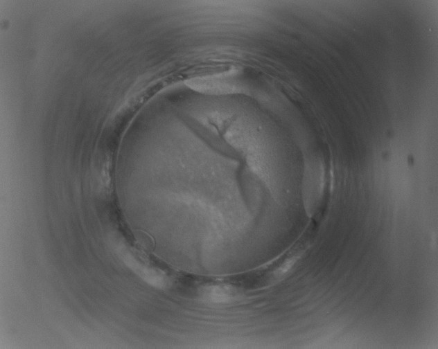 X0000052570408200507011226