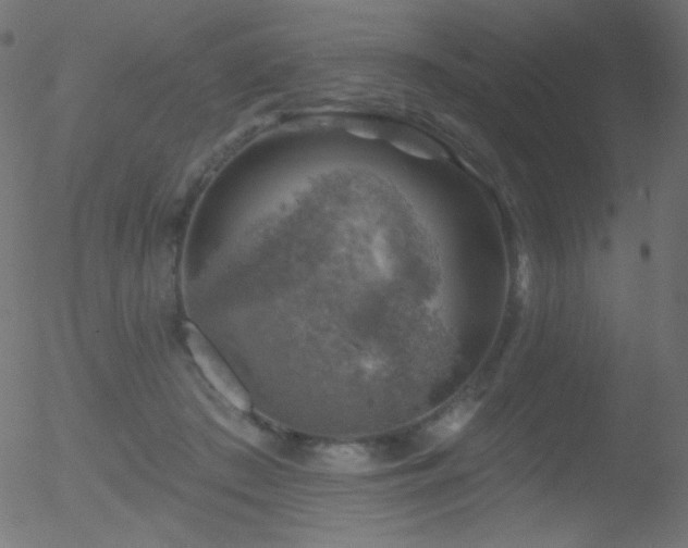 X0000052570409200507011226