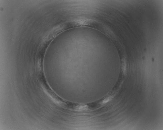 X0000052570410200507011226