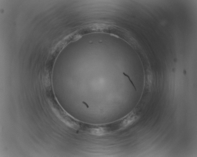 X0000052570411200507011226