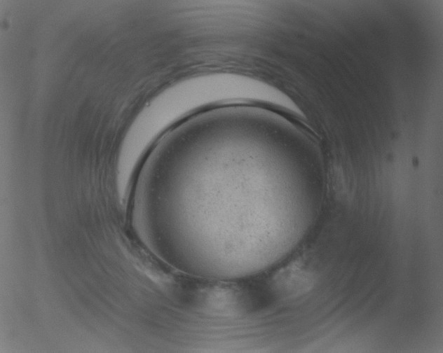 X0000052570412200507011226