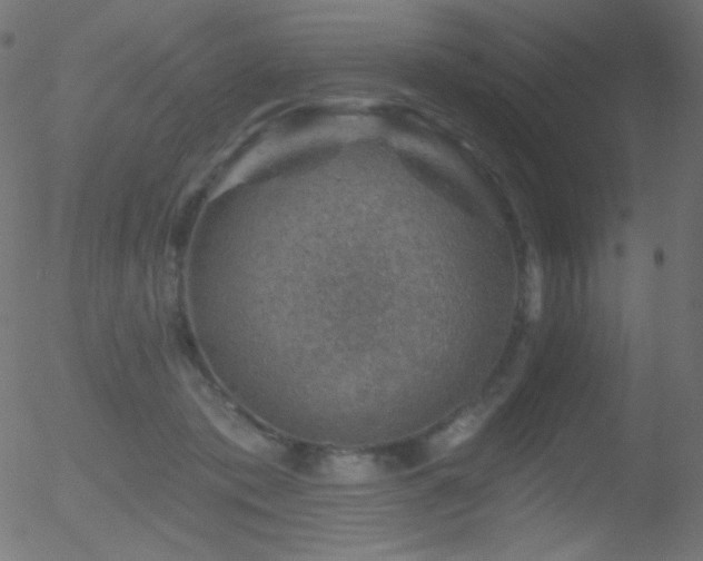 X0000052570413200507011226