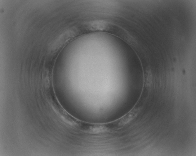 X0000052570414200507011226