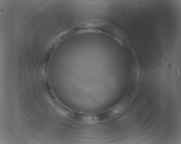 X0000052570415200507011226