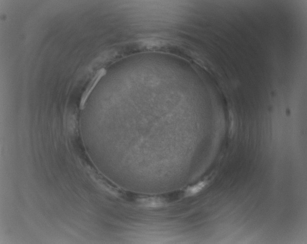 X0000052570417200507011226