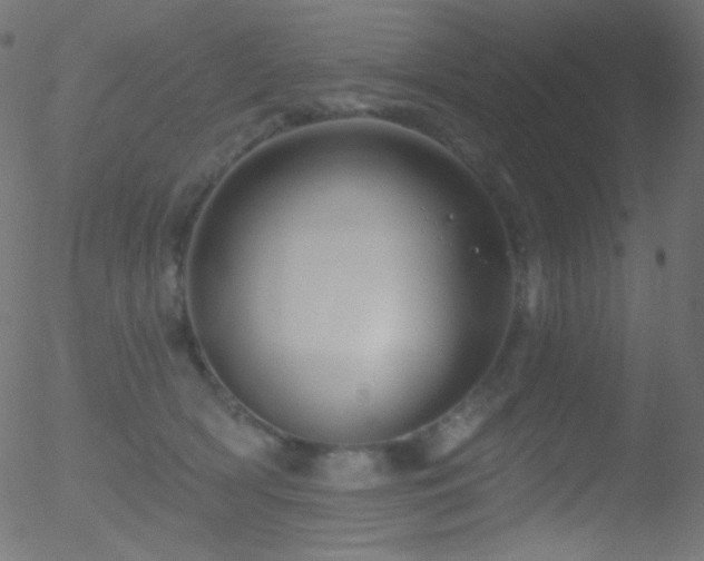 X0000052570418200507011226