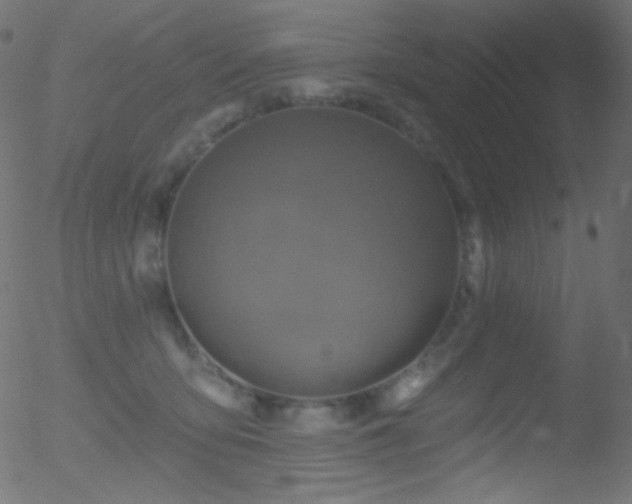 X0000052570419200507011225