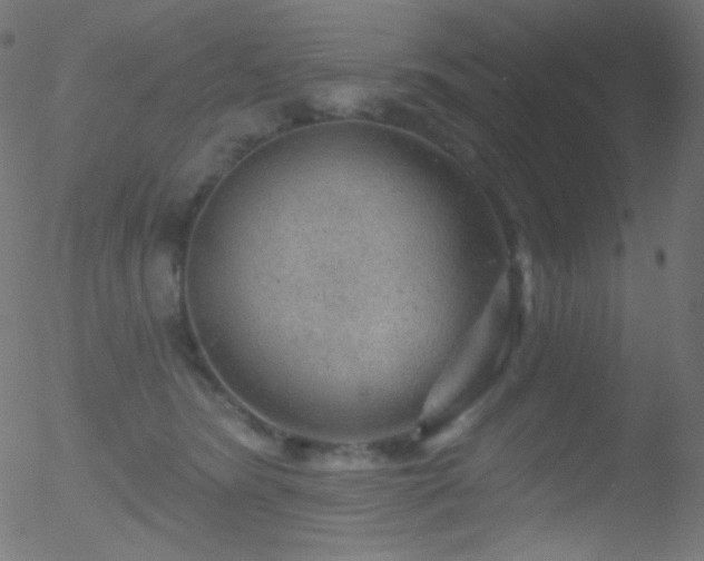 X0000052570420200507011225