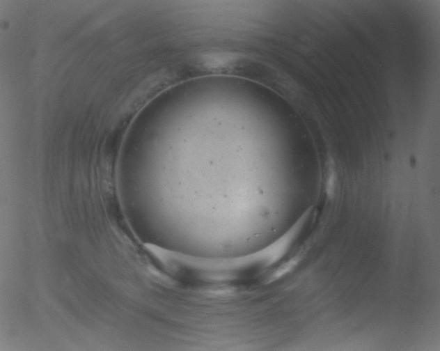 X0000052570421200507011225