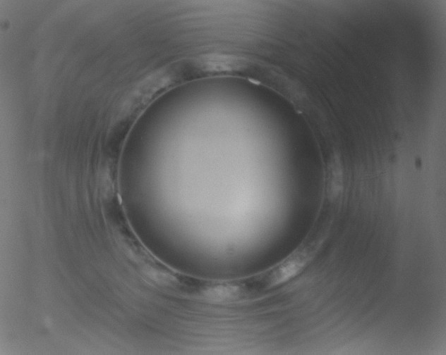 X0000052570422200507011225