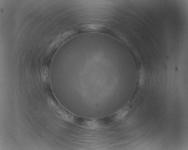 X0000052570423200507011225