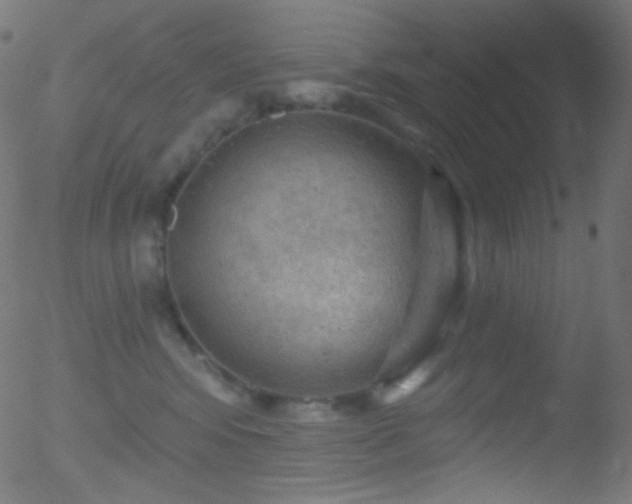 X0000052570424200507011225