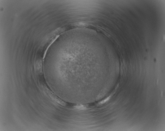 X0000052570425200507011225