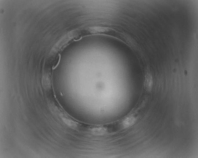 X0000052570426200507011225