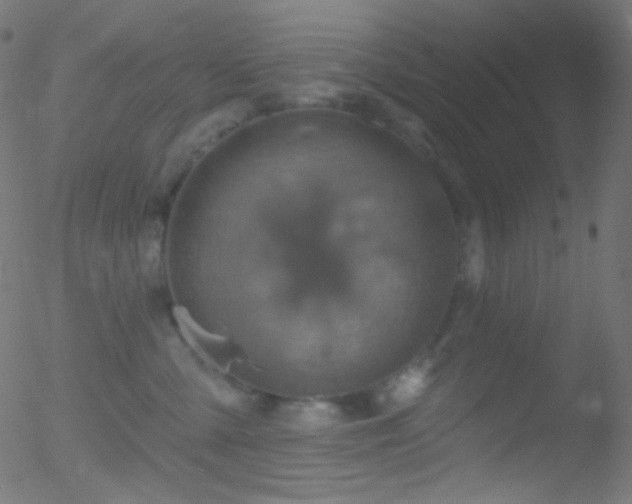 X0000052570427200507011225